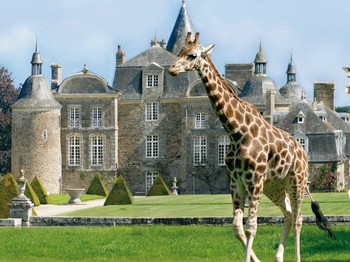Zoo et Château de la Bourbansais à Pleugueneuc.
Crédits photos : Château-ZOO de la Boourbansais. M.Clauzier