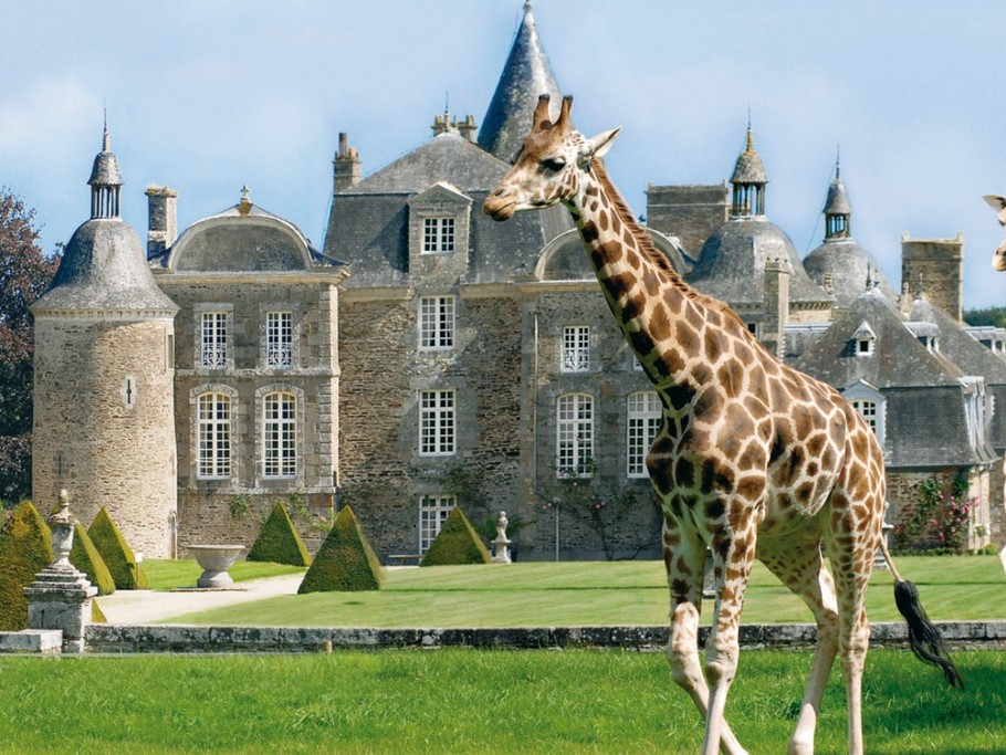 Zoo et Château de la Bourbansais à Pleugueneuc.
Crédits photos : Château-ZOO de la Boourbansais. M.Clauzier