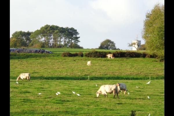 Photo n° 16 de la location