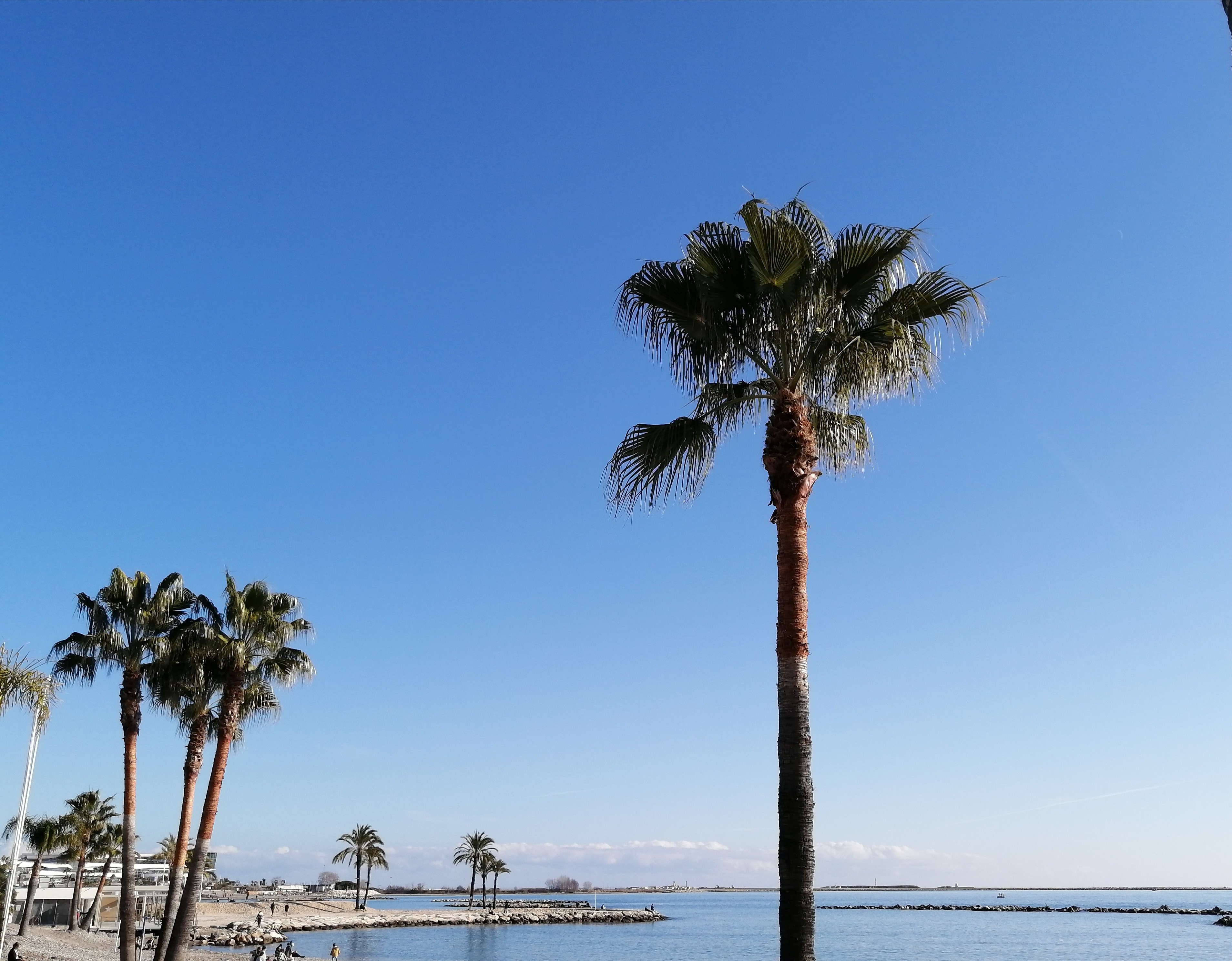 Photo n° 24 de la location