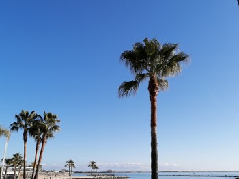 Photo n° 24 de la location