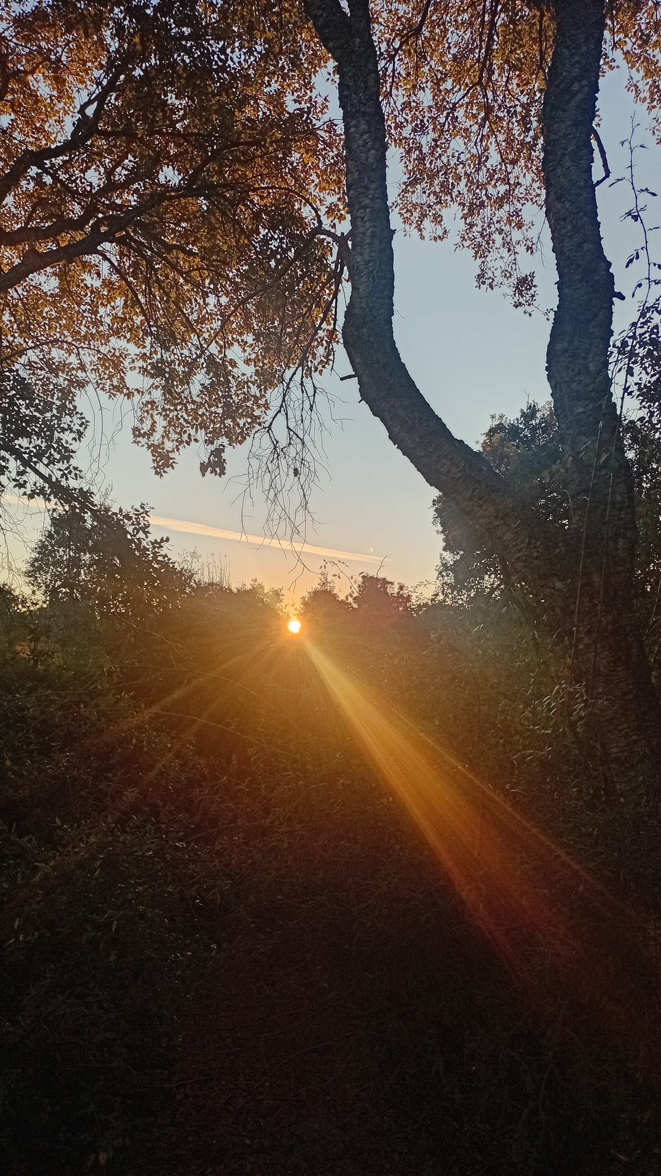 Coucher de soleil derriere la villa