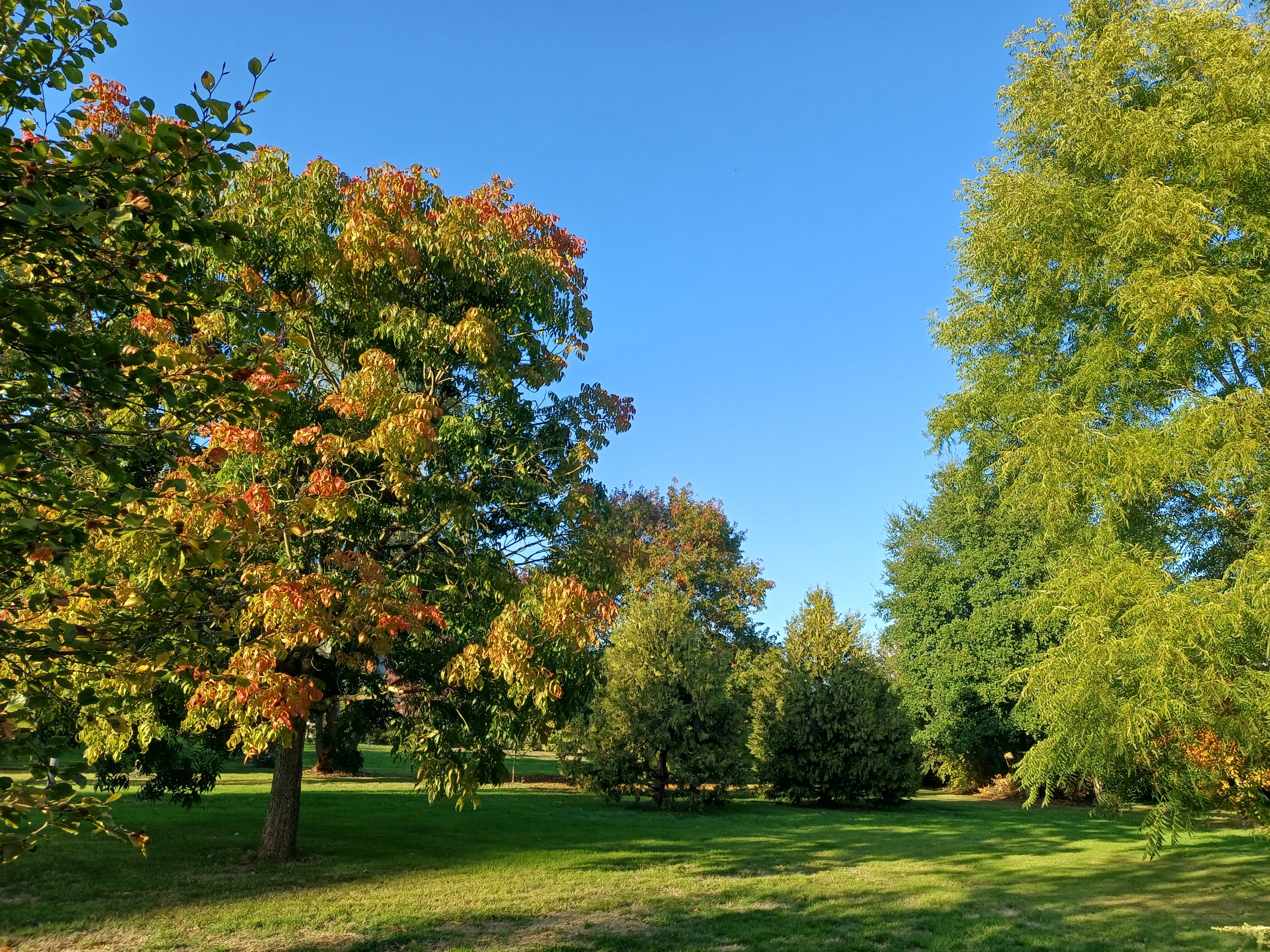 Photo n° 18 of the location