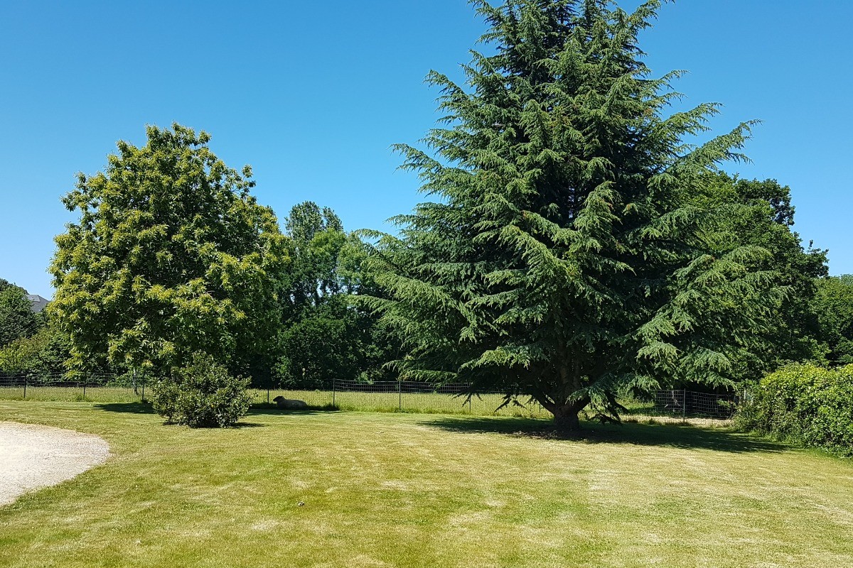 Le jardin à l'arrière de la maison