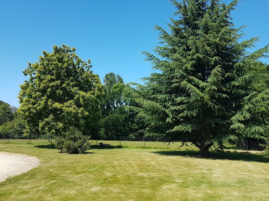 Le jardin à l'arrière de la maison