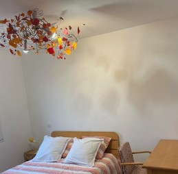 Image n° 5 de la location