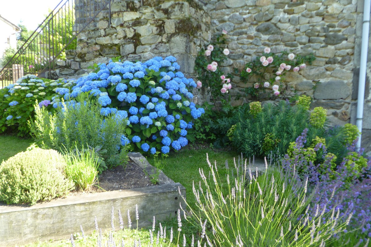 un petit coin fleuri