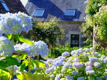 La maison " Mayline " et son écrin de fleurs.