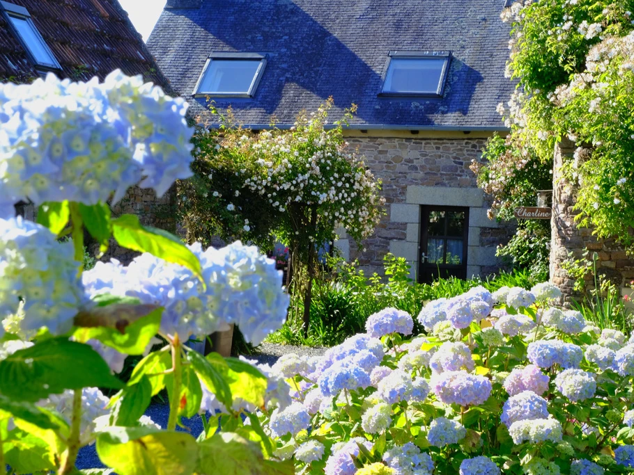 La maison " Mayline " et son écrin de fleurs.