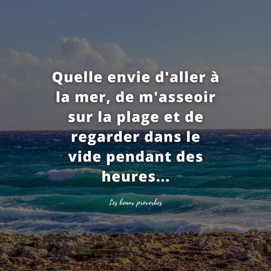 Photo n° 20 de la location