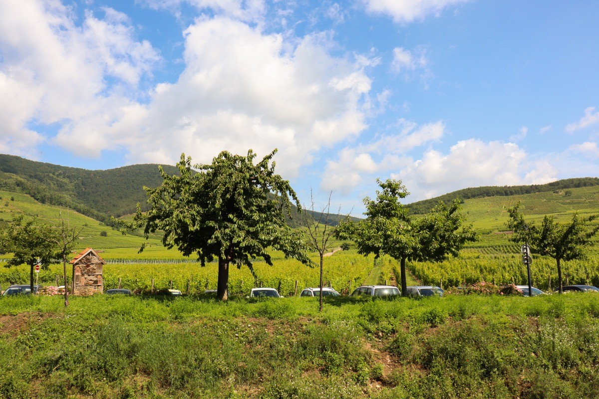 Photo n° 13 of the location