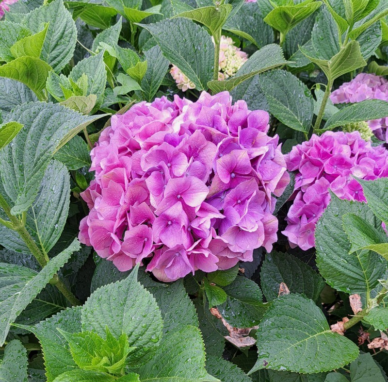 Photo n° 6 de la location