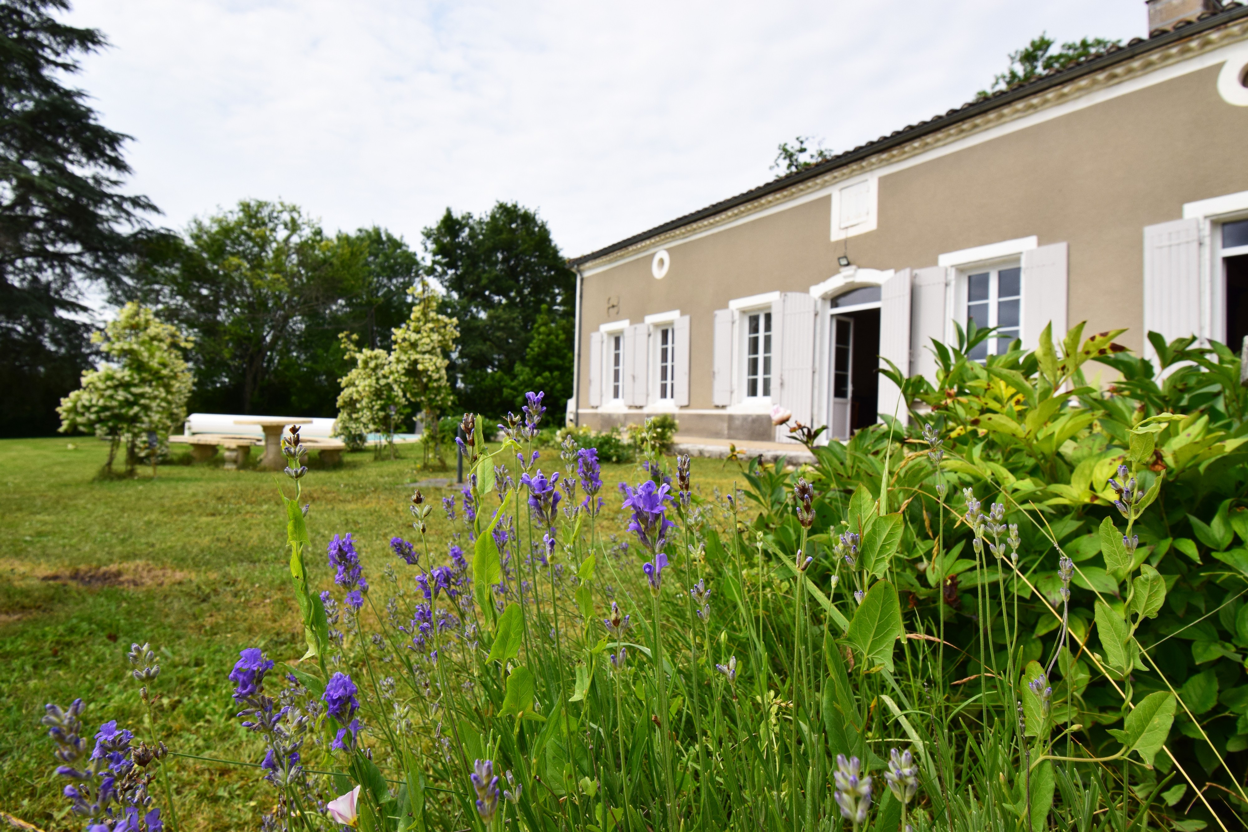 Jardin