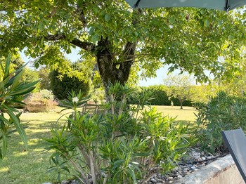 Photo n° 19 of the location