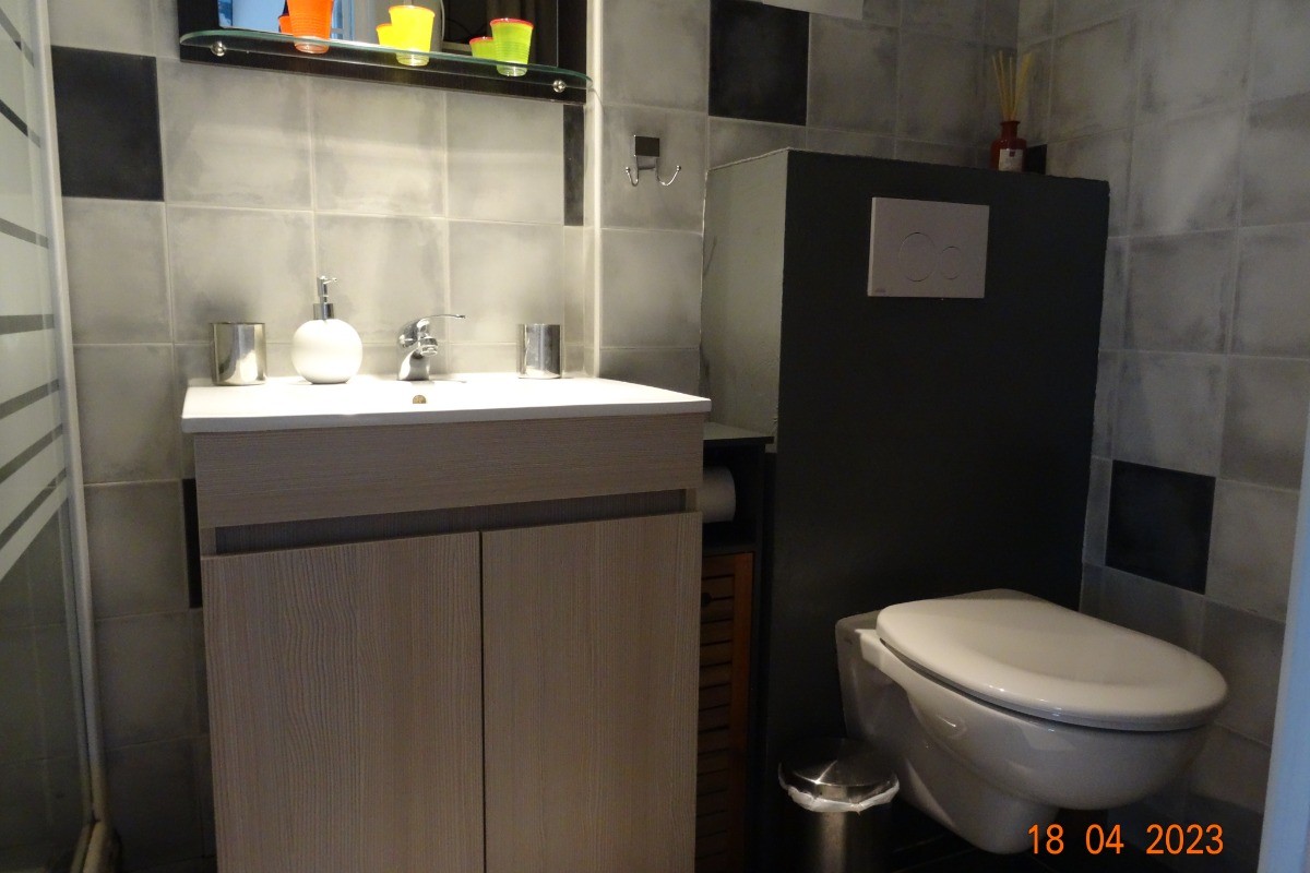 Salle d'eau + toilettes
