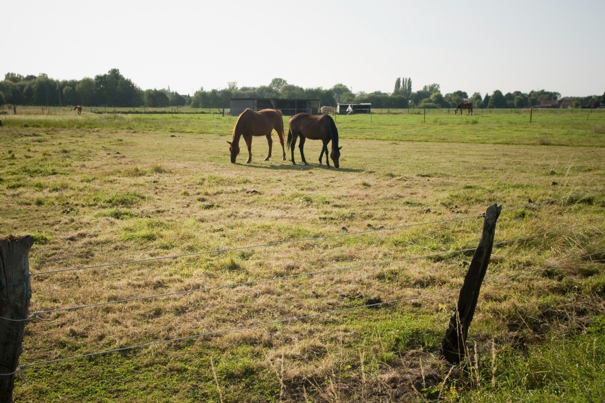 Photo n° 15 of the location