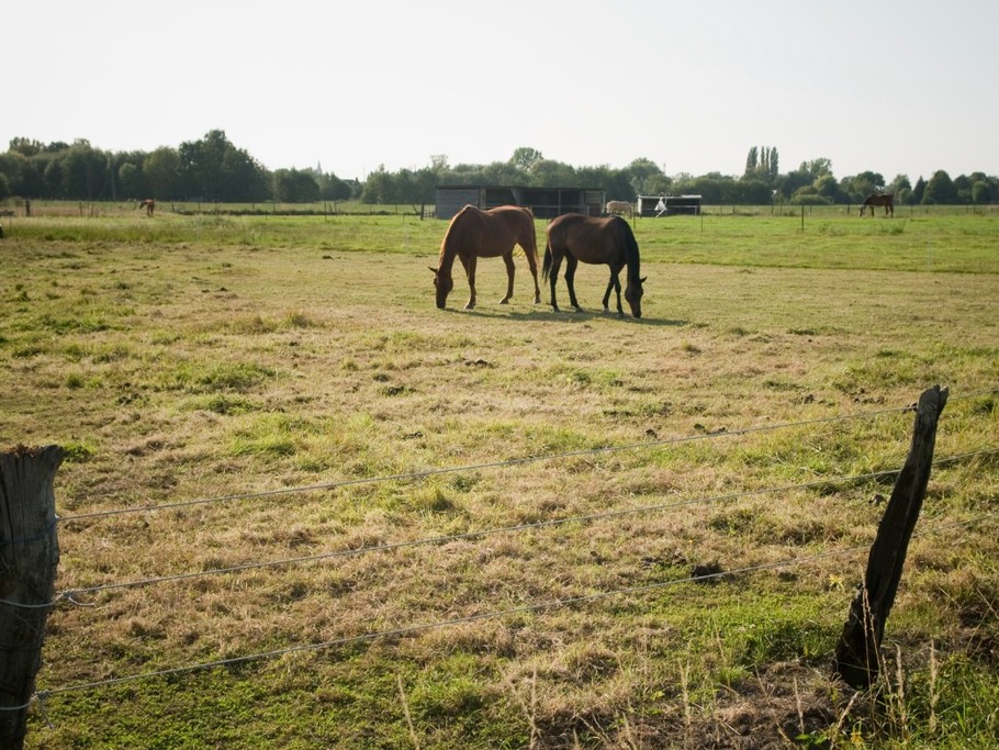 Photo n° 15 de la location