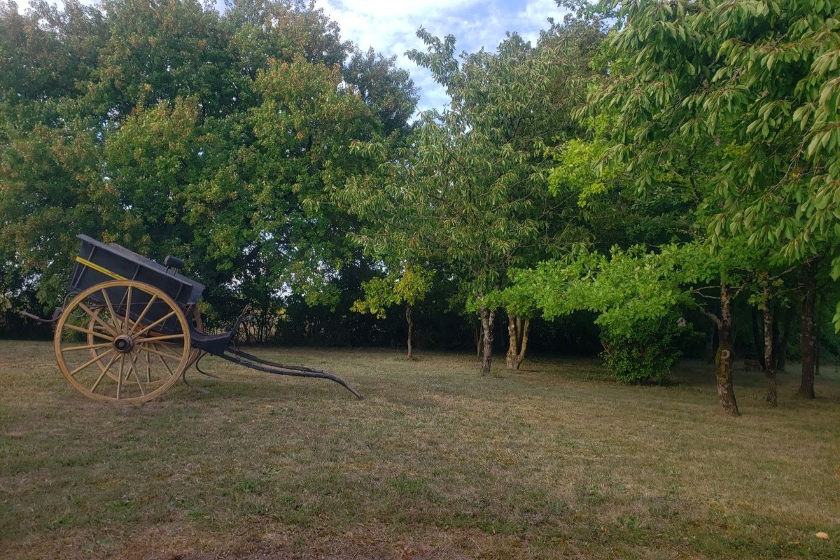 Gite 12personnes Le Bois Dormant à St Jean d'Angély en Charente maritime