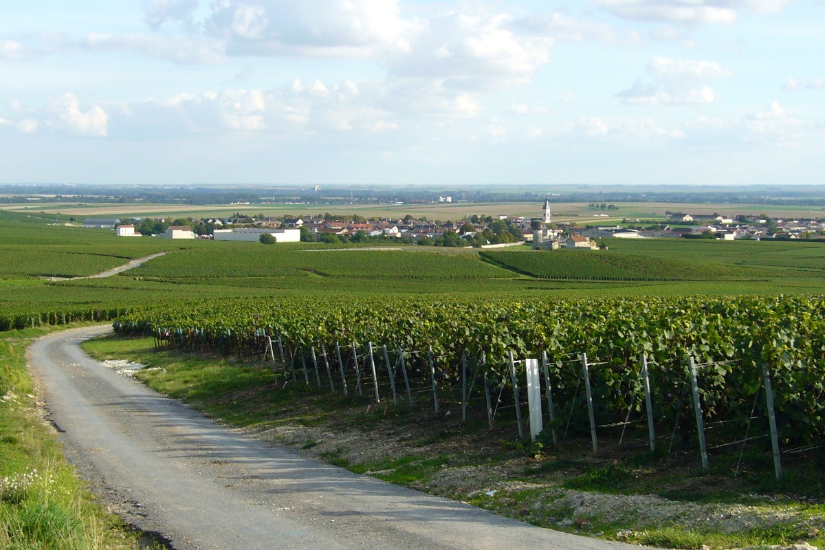 Photo n° 20 of the location