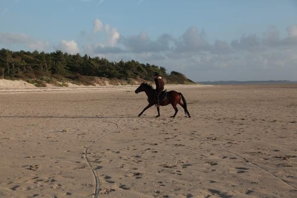 Photo n° 16 of the location
