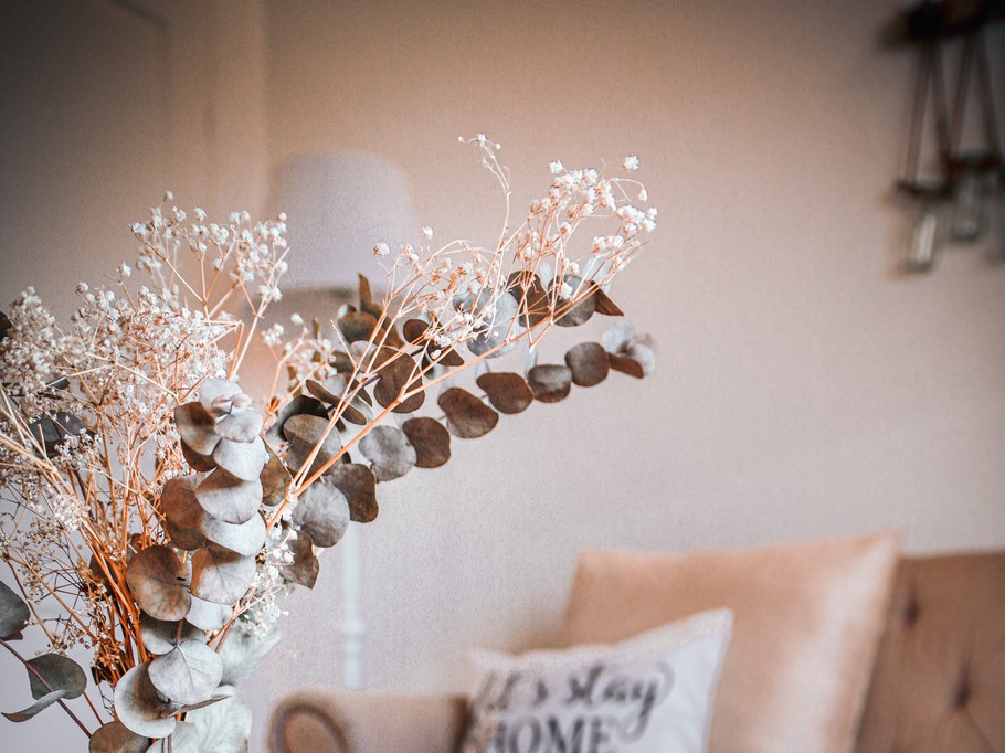 Photo n° 10 de la location