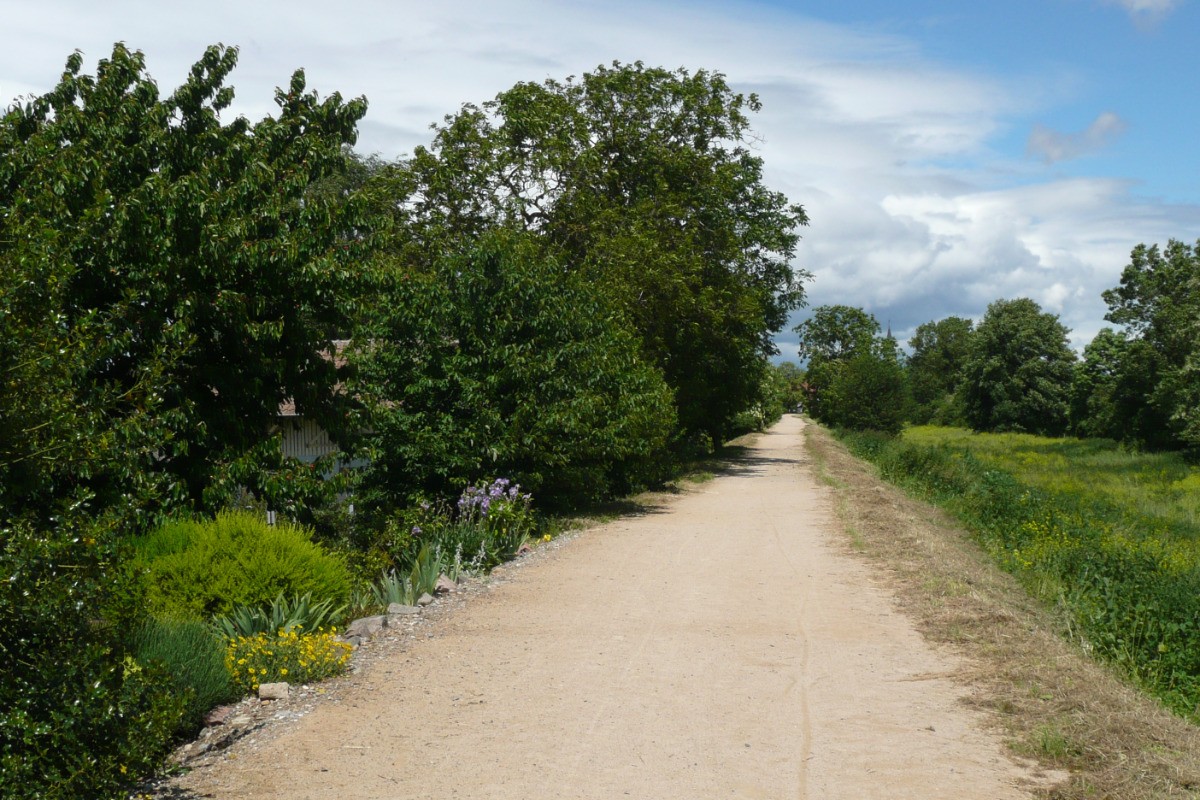 Piste cyclable le long du cours d'eau l'ill
