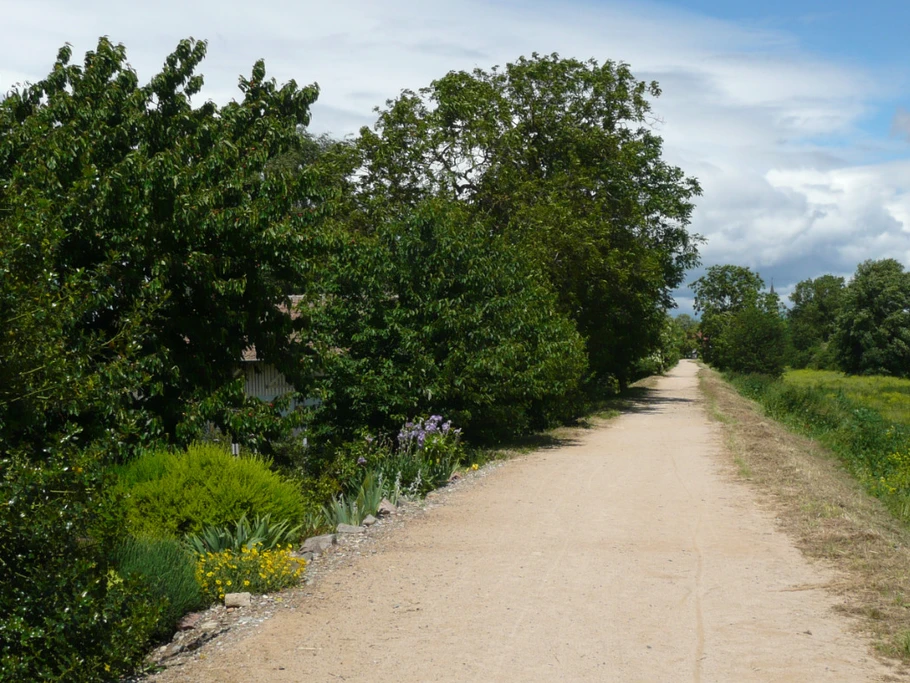 Piste cyclable le long du cours d'eau l'ill