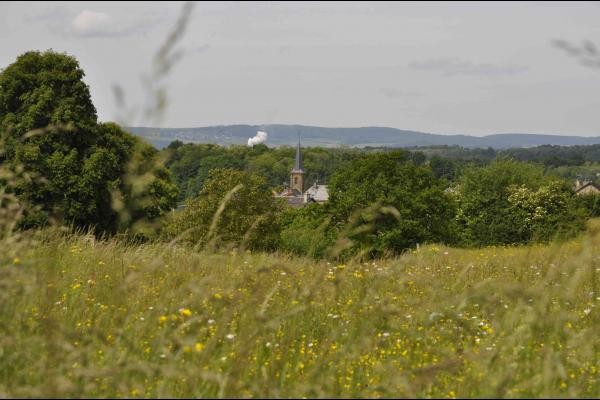 Village dans la verdure