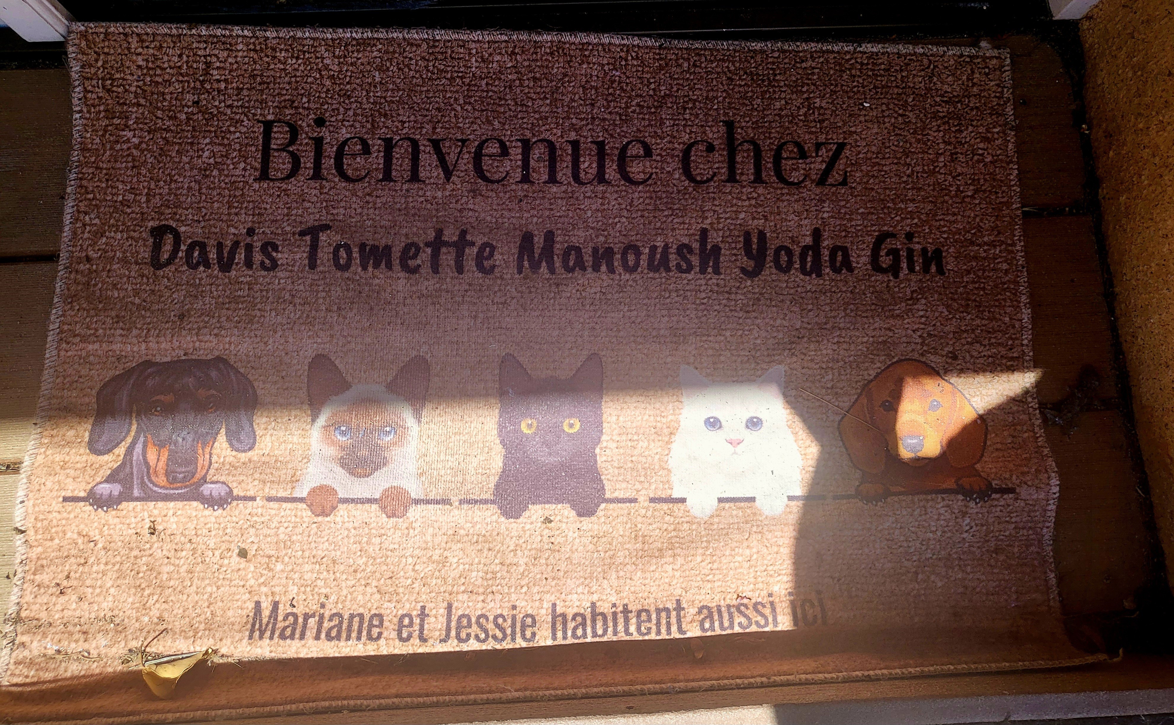 Photo n° 18 de la location