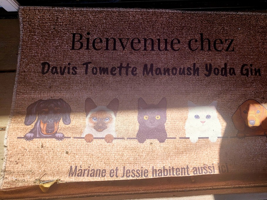 Photo n° 18 de la location