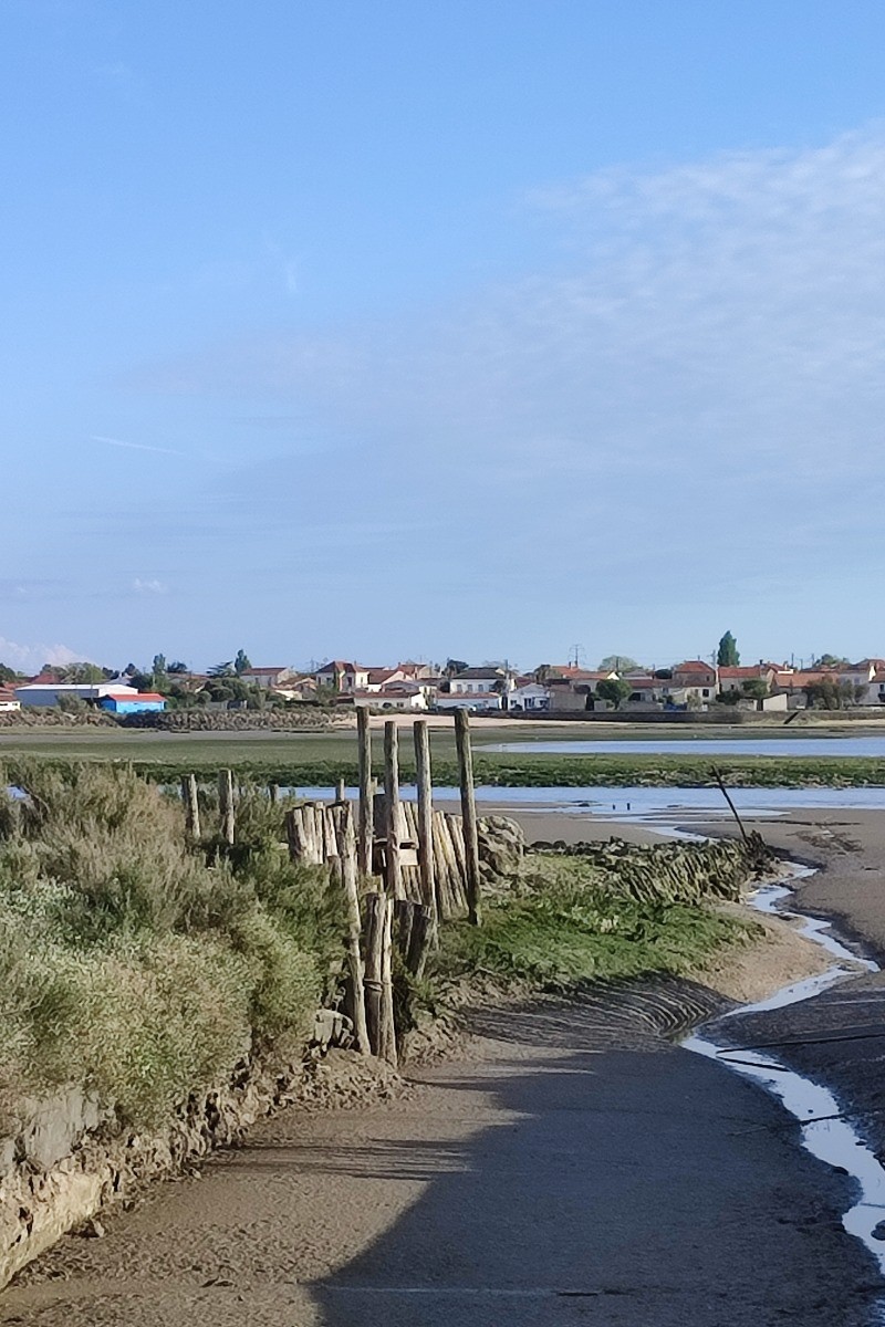Bourcefranc le chapus - la Pointe du Daire