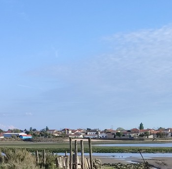 Bourcefranc le chapus - la Pointe du Daire