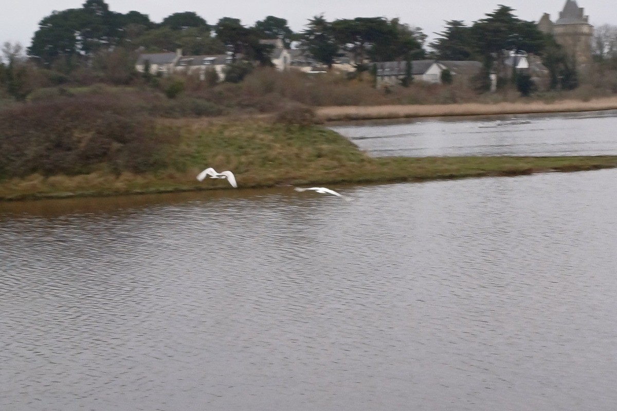 zone protègée des salines