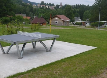 Ping-pong ou volley?