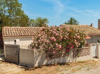 Photo n° 11 de la location