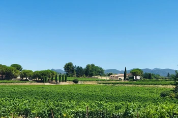 Entourés de vignes : calme et vue panoramique