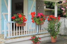 Image n° 2 de la location