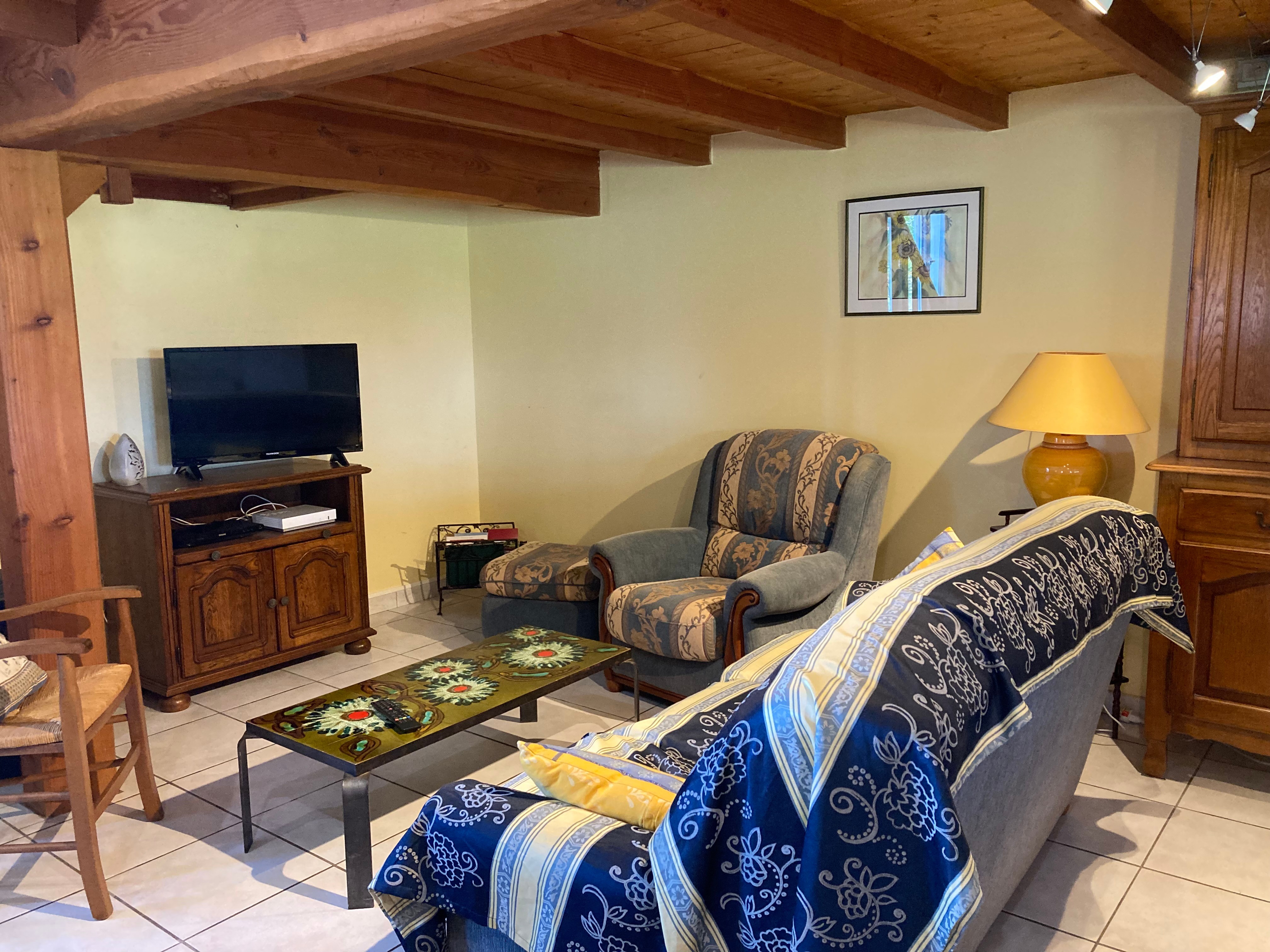 Salon avec TV, wifi