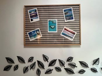 Photo n° 26 of the location