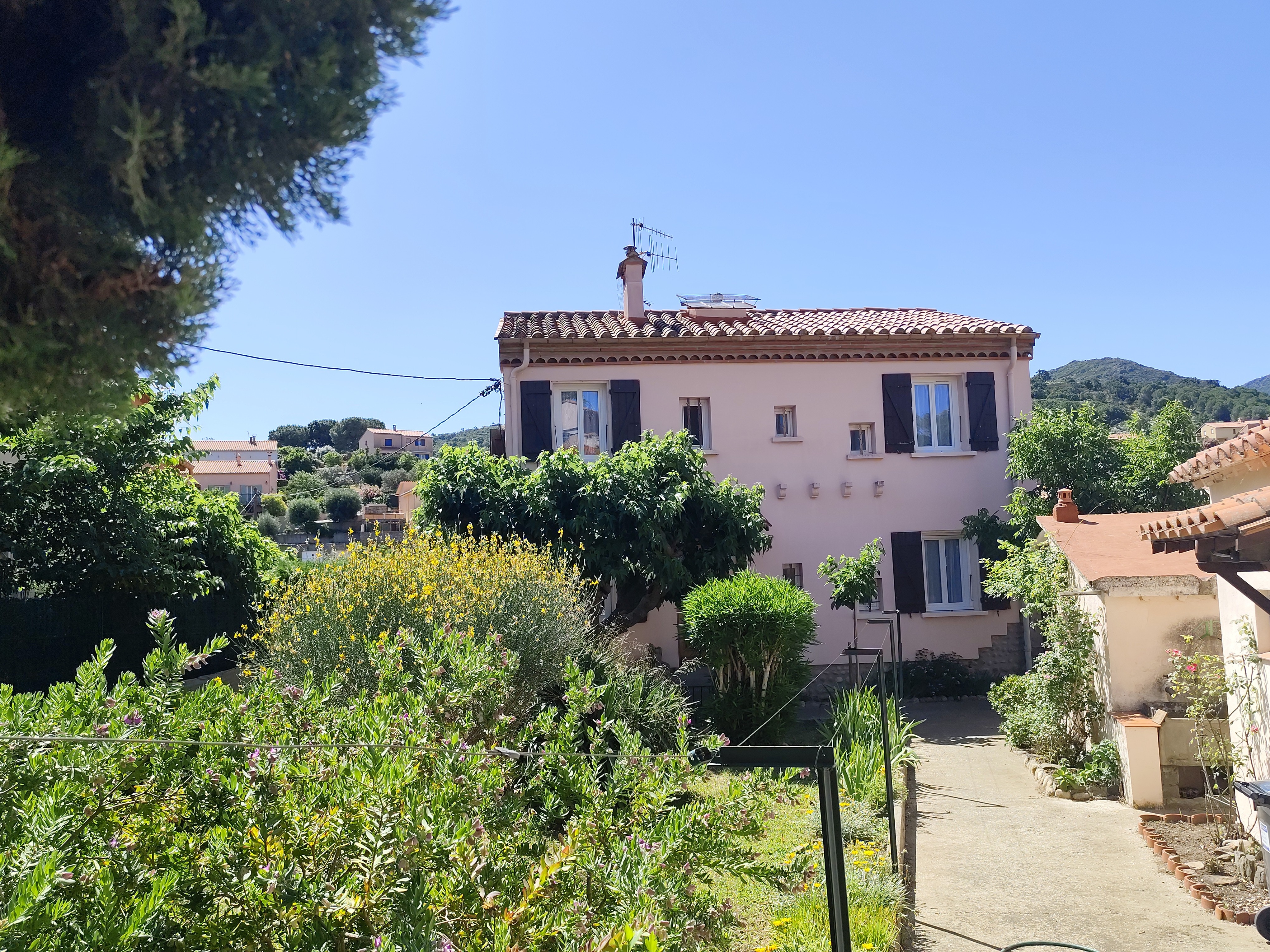 Front of the house
