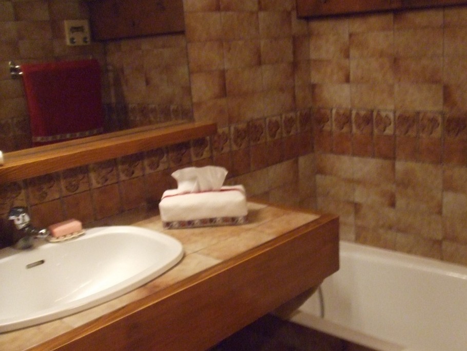 Photo n° 11 de la location