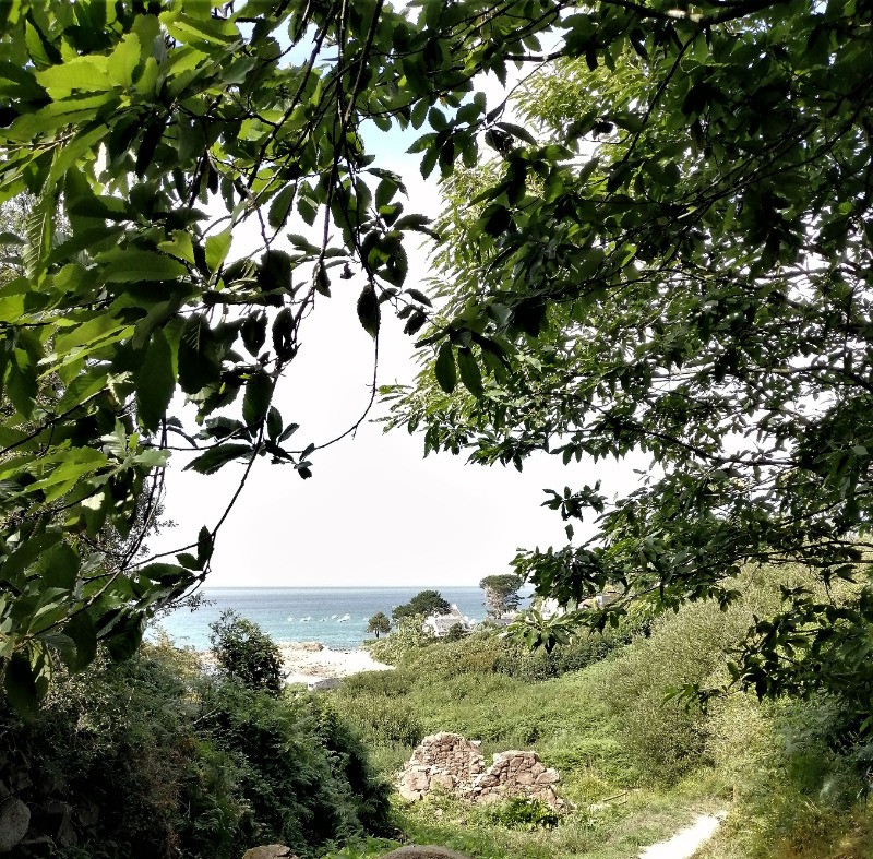 Chemin piétonnier accès à la plage