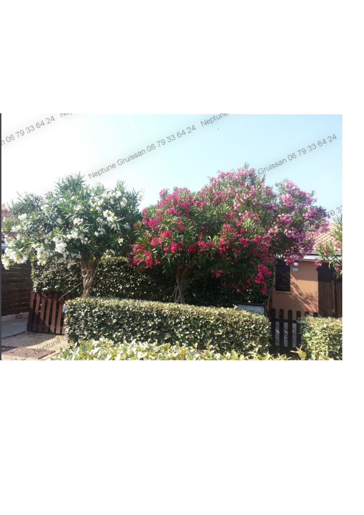 Photo n° 16 de la location