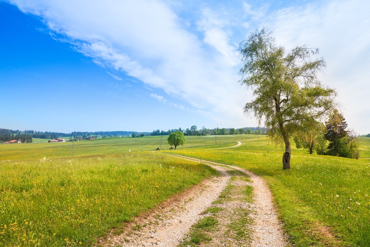 Photo n° 18 de la location