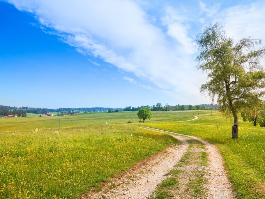 Photo n° 18 de la location