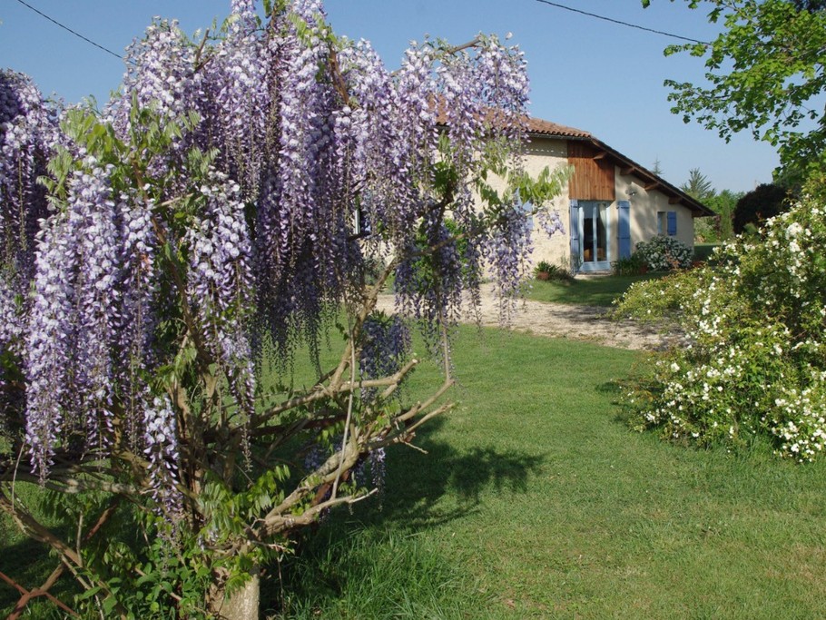 Photo n° 15 de la location