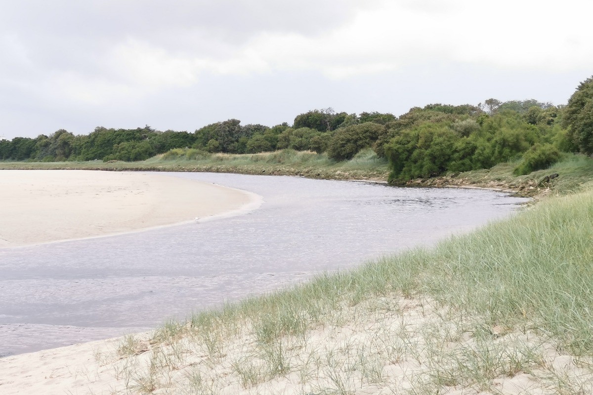 cordon dunaire de Theven Pen An Dour à 300 m de la location