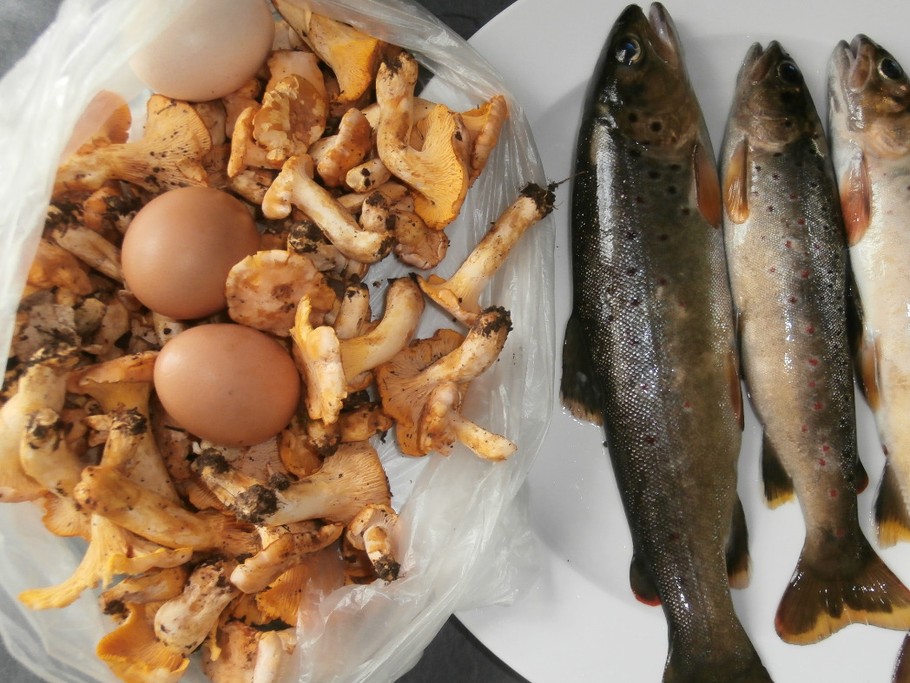 connexion nature à Trézagou  gîte de Trézagou St Céré LOT 46400