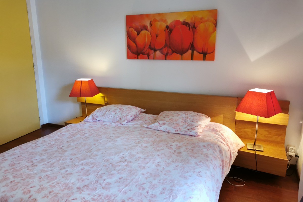 Une chambre avec un grand lit