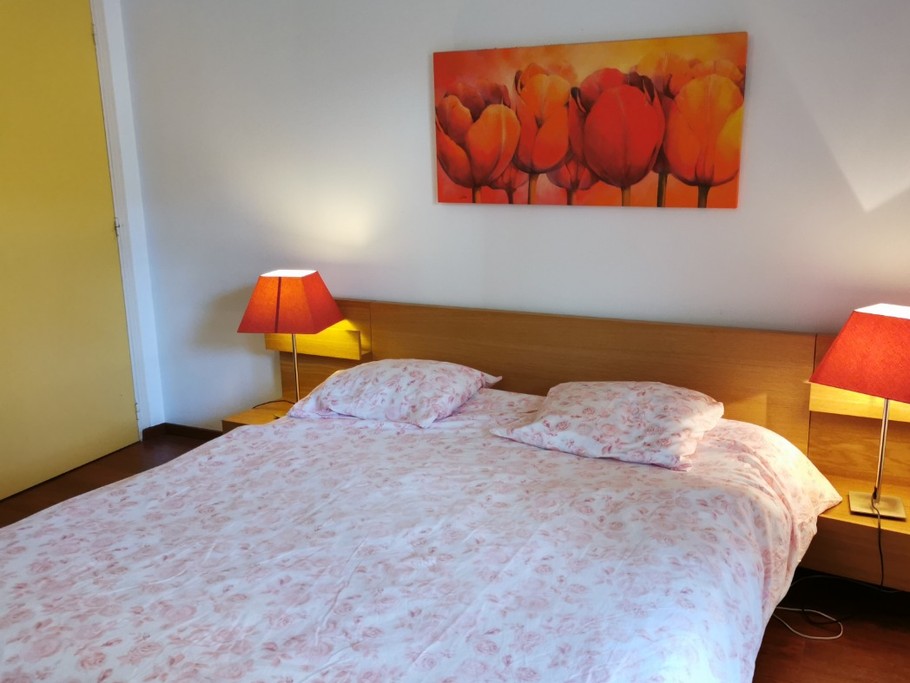 Une chambre avec un grand lit